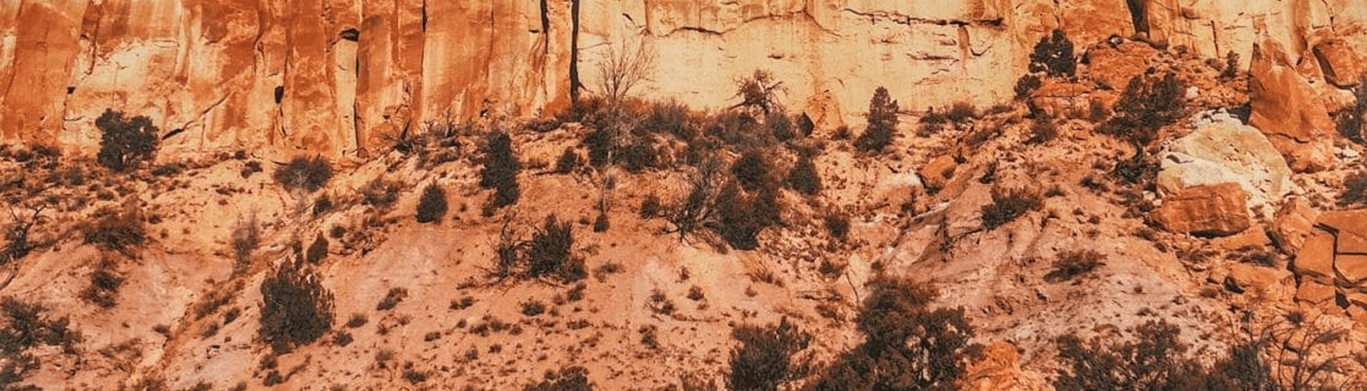 A rugged, orange rock cliff with sparse vegetation at its base.