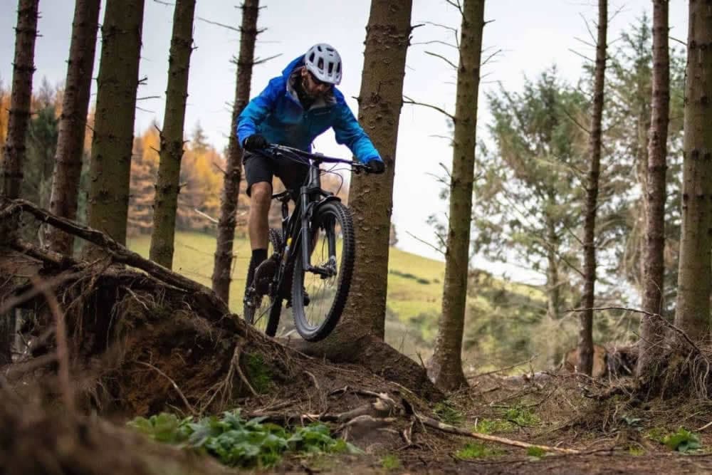 A mountain biker navigates through a forest trail, riding over roots and rocks.